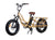 Cargo Bike Electrikfatbike Sandy Vista Lateral