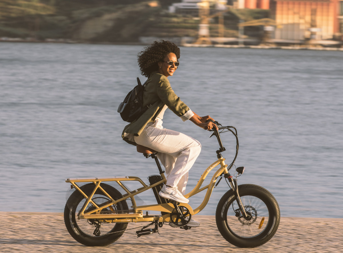 Cargo Bike Electrikfatbike Sandy Uso Citadino