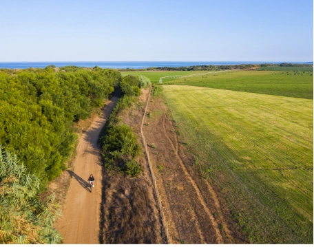 Electrikfatbike por um mundo mais sustentável