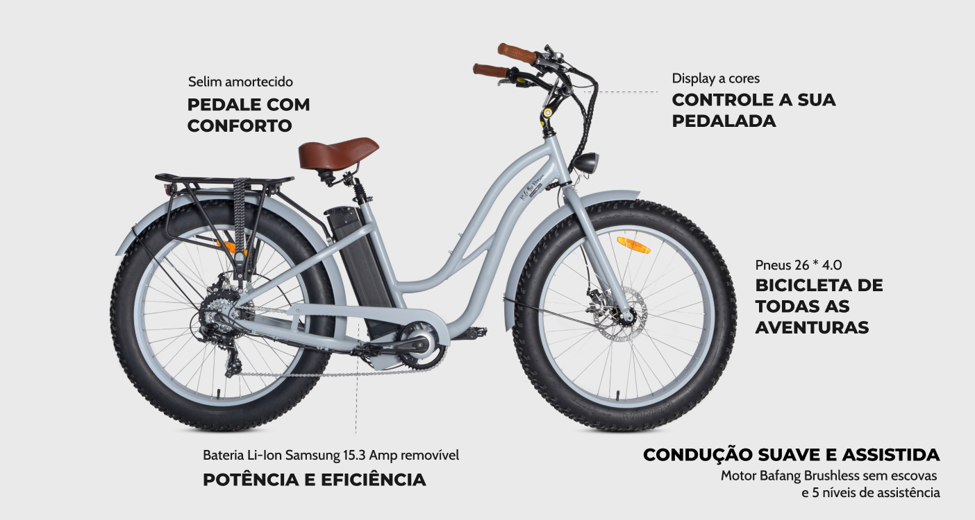 Caracteristicas das electric fat bike electrikfatbike