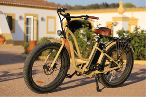 Ladies shop fat bike