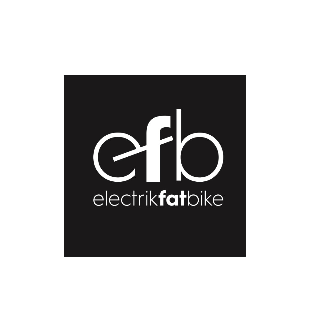 Experimente uma Electrikfatbike em Cascais, Lisboa